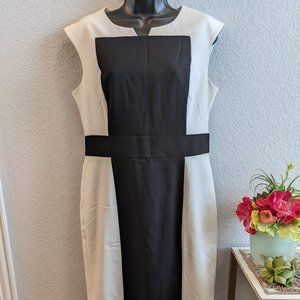 Calvin Klein Color Block Dress